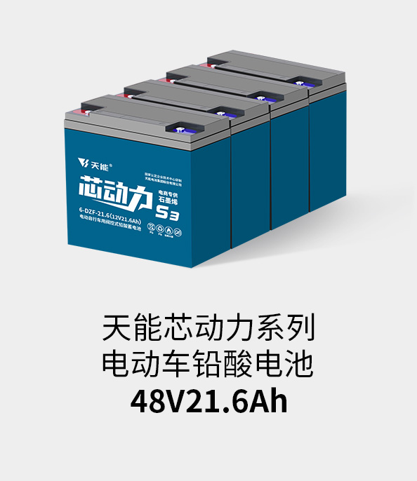 开元电池48v20ah