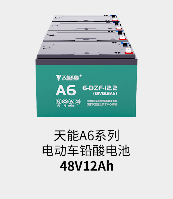 开元电池48v12ah