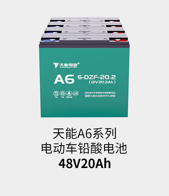 开元电池48v20ah