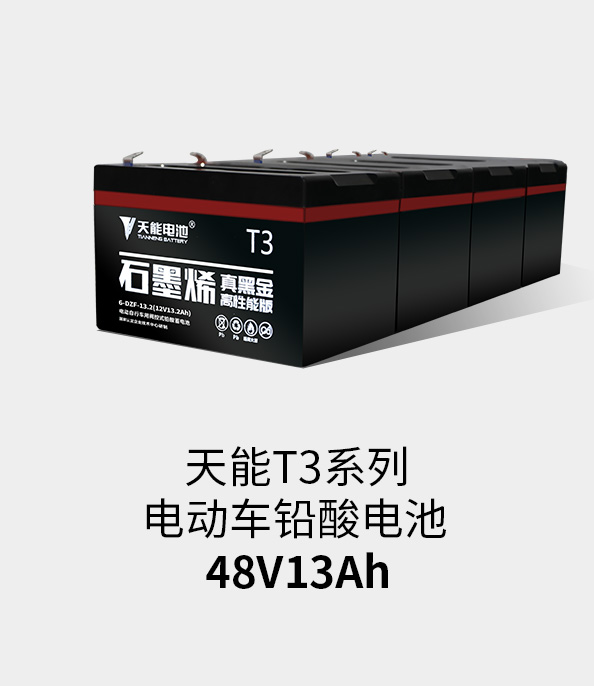 开元T3系列48v13ah