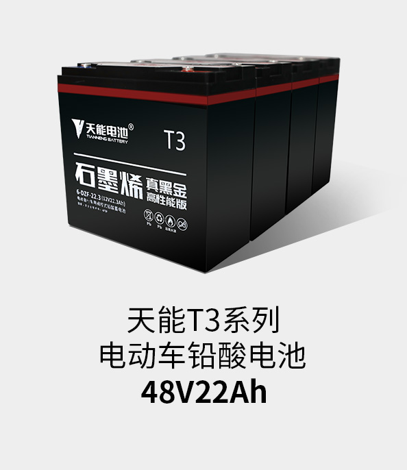 开元T3系列48v22ah