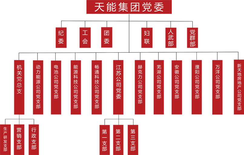 开元建团党委组织架构